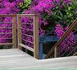 Naturally Durable Tropical Hardwood Decking